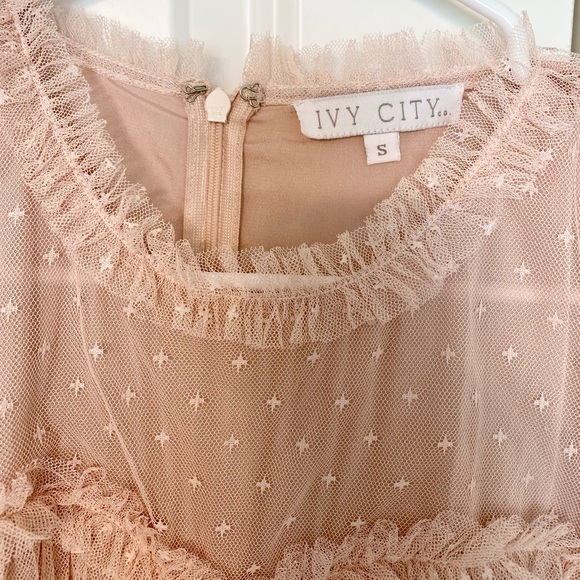 Ivy City Co Blush Maxi Dress - Picture 3 of 5
